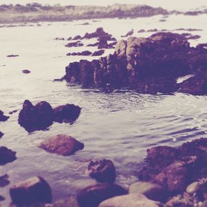 Rocks on beach against sky