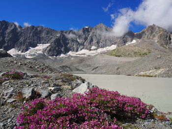 Scenic view of lake and mountains against sky