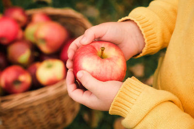 Midsection of woman holding apples