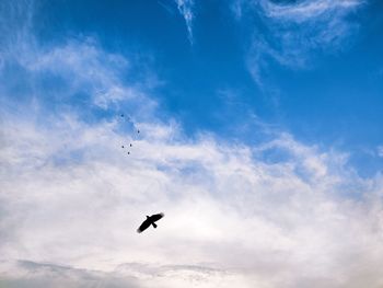 Low angle view of silhouette birds flying in sky