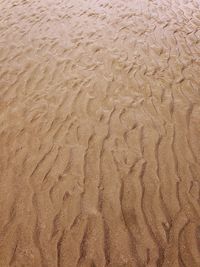 Full frame shot of sandy beach