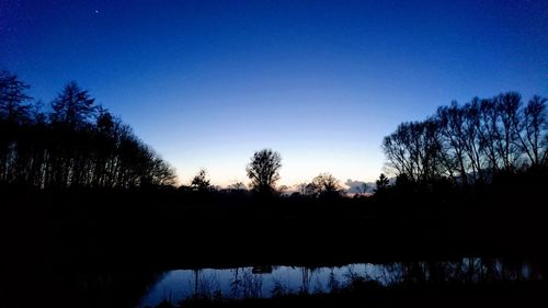 Silhouette trees against sky during sunset