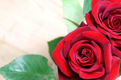 Close-up of rose bouquet