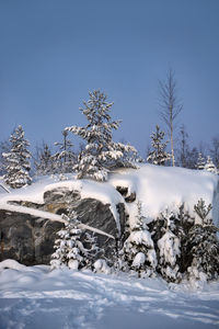 Snow covered land and trees against blue sky