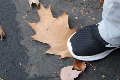 Low section of person on autumn leaves