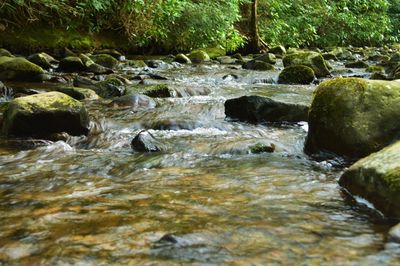 Stream flowing through rocks