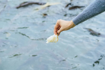 Close-up of hand holding leaf in water