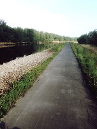 River passing through forest