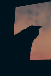 silhouette
