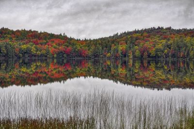 Reflection of trees in lake against cloudy sky