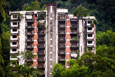 Trees against built structure