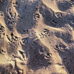 Full frame shot of sand