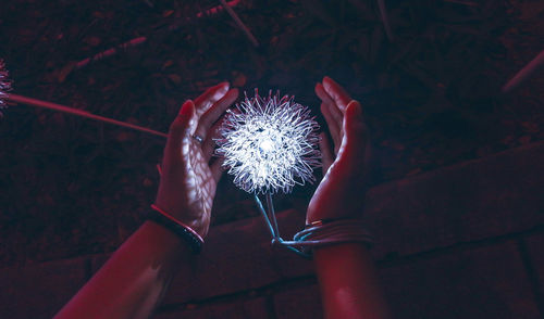 High angle view of hand holding illuminated red flower