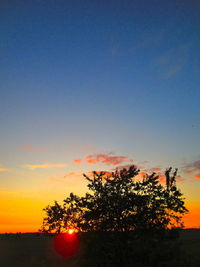 Silhouette trees against sky during sunset