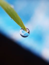 Close-up of water drop on plant