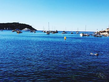 Sailboats moored on sea against clear blue sky