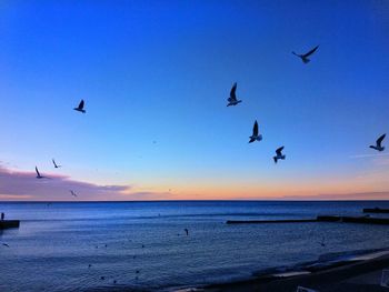 Seagulls flying over sea against sky