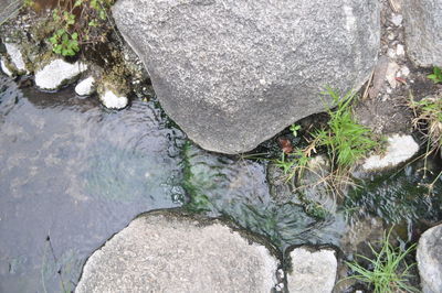 High angle view of stream