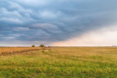 Scenic view of field against sky during sunset