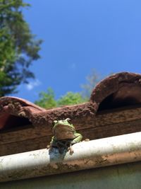 Close-up of rusty against blue sky