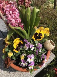 Close-up of flower bouquet