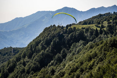 Scenic view of forest against sky