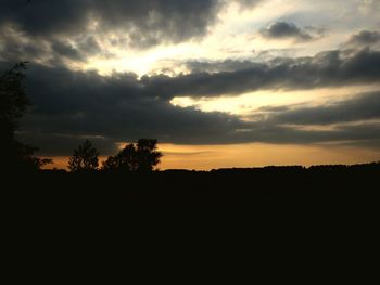 Silhouette of trees at sunset