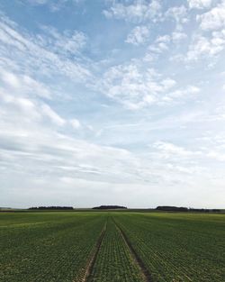 Scenic view of agricultural field against sky