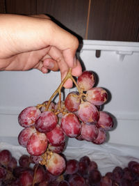 Close-up of hand holding strawberries