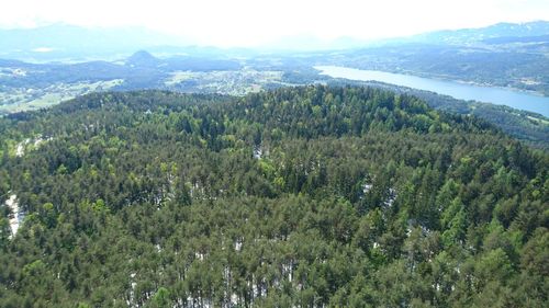 Scenic view of green landscape and mountains