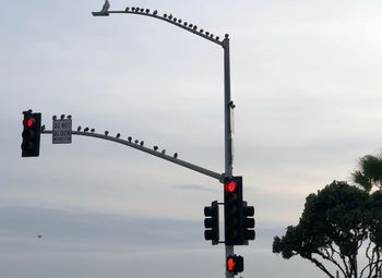 Low angle view of birds perching on road signal against sky