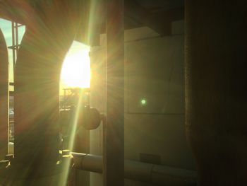 Sun shining through trees