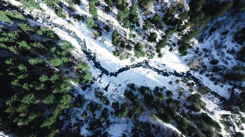 High angle view of snow covered land