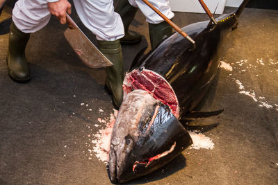 Man holding fish at market
