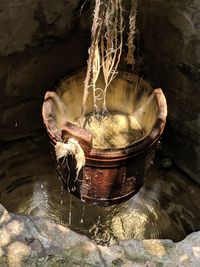 High angle view of food in a water