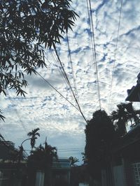 Low angle view of silhouette trees against sky