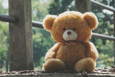 Close-up of stuffed toy on wood