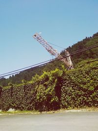 Low angle view of plants against clear blue sky