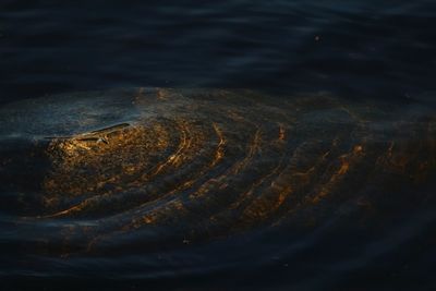 Full frame shot of rippled lake