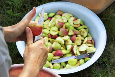 Midsection of woman chopping apples in bowl on grassy field
