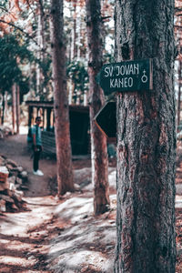 Information sign on tree trunk in forest