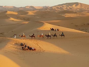 People on sand dune in desert against sky