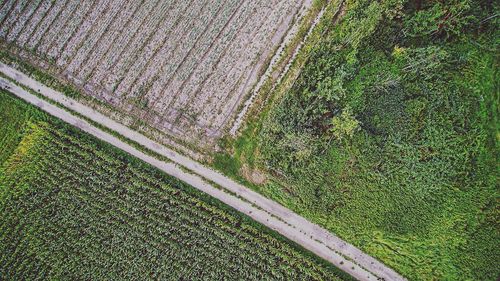 High angle view of field