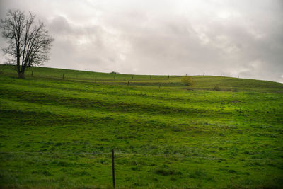 Scenic view of green landscape against sky