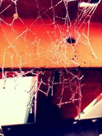 Close-up of spider on web against sky