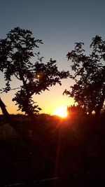 Low angle view of silhouette trees against sky during sunset