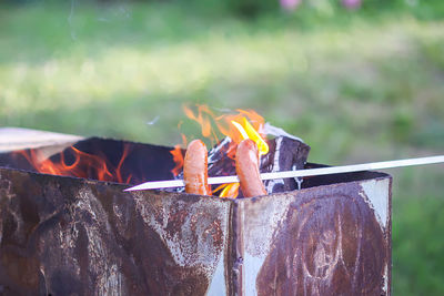 Close-up of bonfire on wooden log