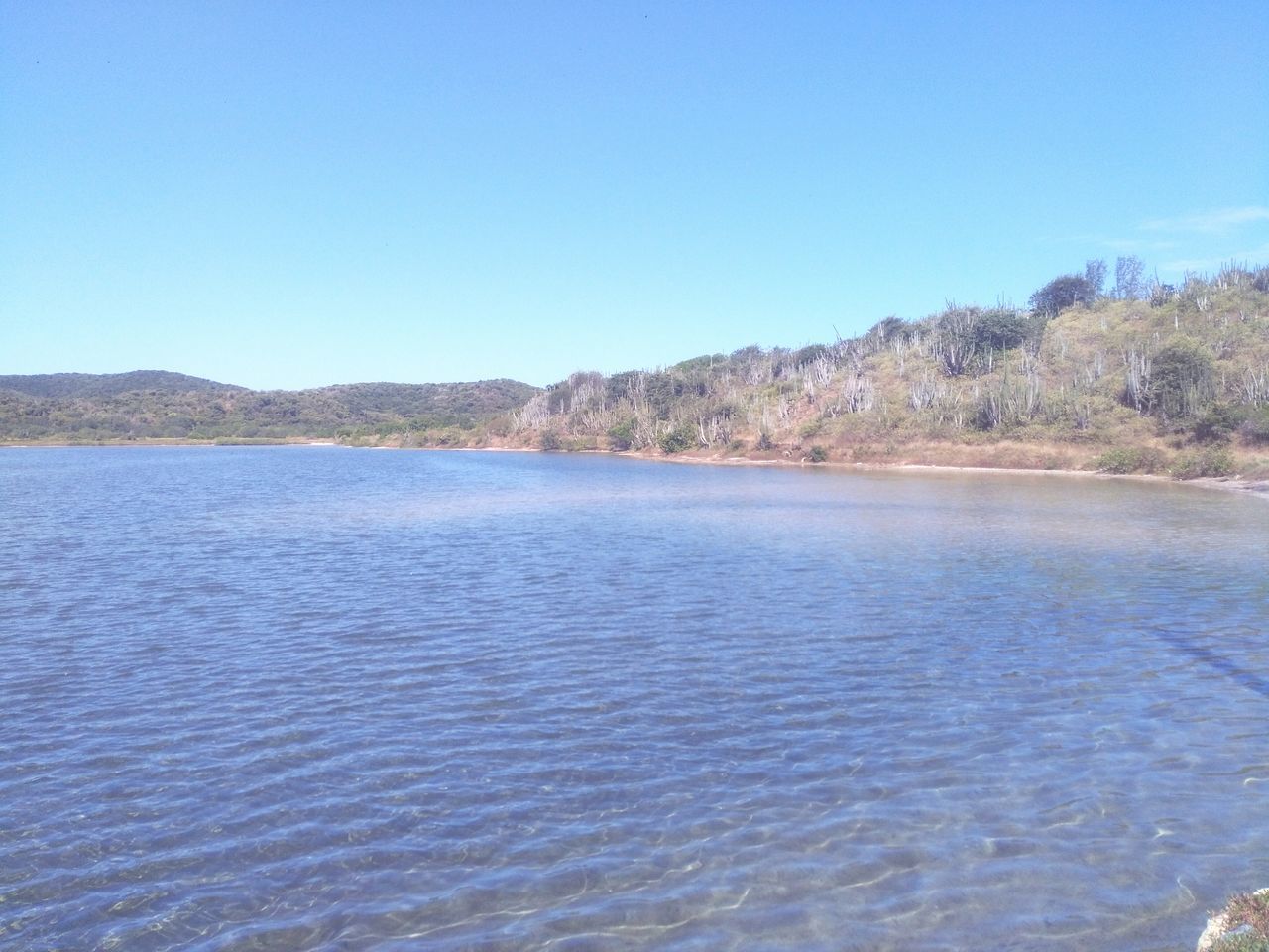 water, blue, clear sky, nature, tranquility, day, sea, scenics, beauty in nature, tranquil scene, beach, tree, outdoors, no people, sky