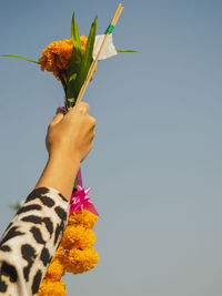 Midsection of woman holding flower against sky