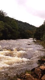 Scenic view of river against clear sky